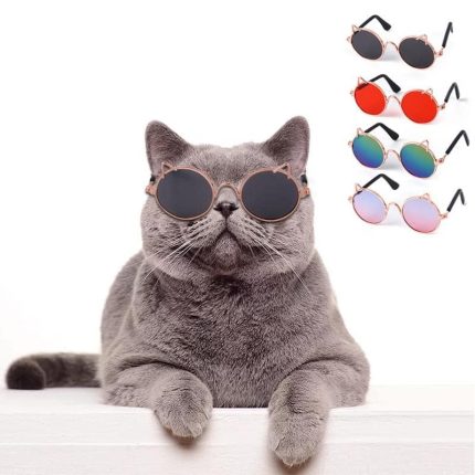 Cat Round Sunglass