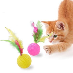 Cat feather ball price in bd