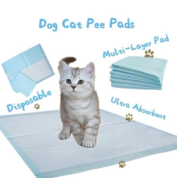 Cat Pee Pad Cat Training Pads For Cat Dog Price IN Bangladesh