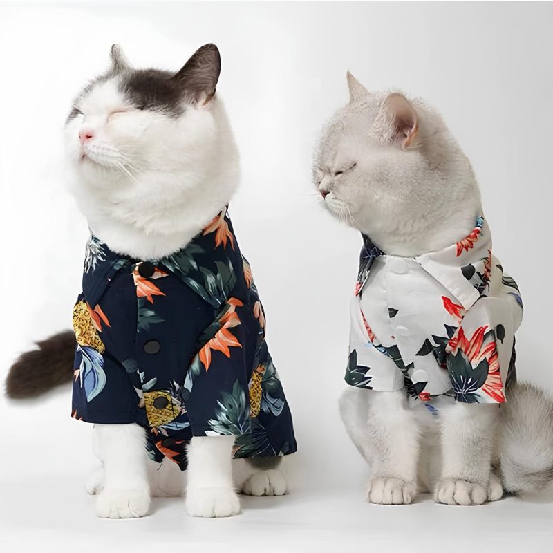 Summer Stylish Shirt for Cat Price in BD