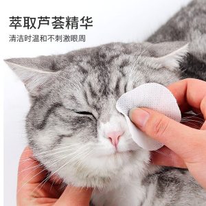 Disposable cleaning pet wipes For Cat Price in Bd
