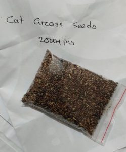 Cat Grass Seeds Price In Bd