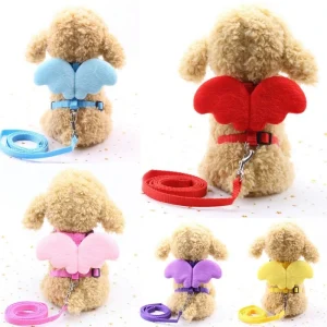 Butterfly Cat Harnesses in BD