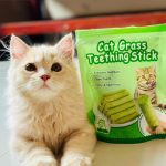 Cat Grass Teething Stick set with Chicken Flavor for Cat Price In Bd