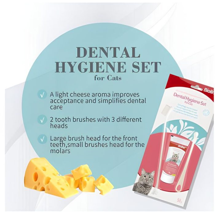 Bioline Dental Hygiene Tooth Paste Set 50g Cat Tooth Paste Price In Bd Buy From All In One Shop BD