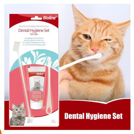 Bioline Dental Hygiene Tooth Paste Set 50g Cat Tooth Paste Price In Bd