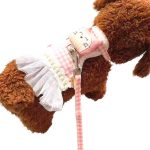 Cat Panda Dress Harness Set, with pricing and purchase info from All In One Shop BD.