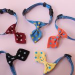 Stylish Neck Tie For Cat & Dogs price in bd